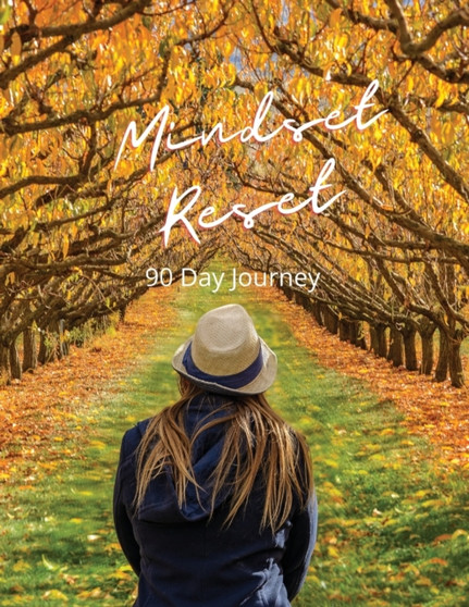 Mindset Reset : 90 Day Journey