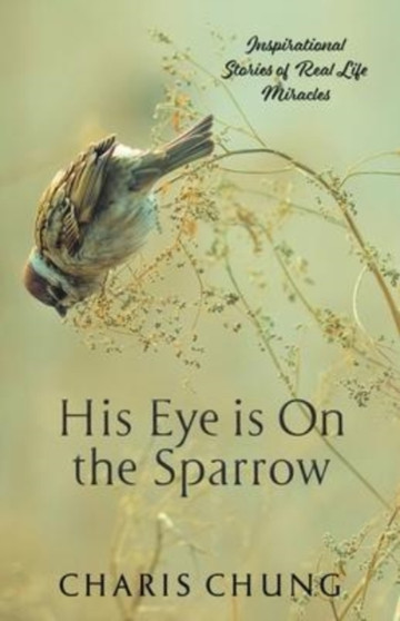 His Eye Is on the Sparrow : Inspirational Stories of Real Life Miracles