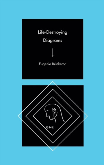 Life-Destroying Diagrams by Eugenie Brinkema - Hardback