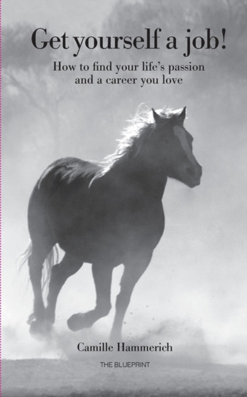 Get yourself a job : How to find your lifes passion and a career you love