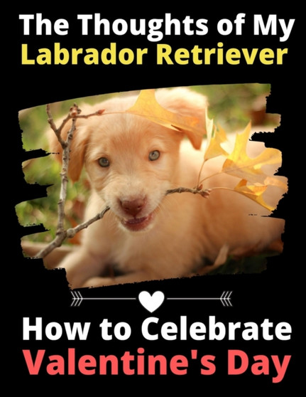 The Thoughts of My Labrador Retriever : How to Celebrate Valentine's Day by Brightview Activity Books - Paperback