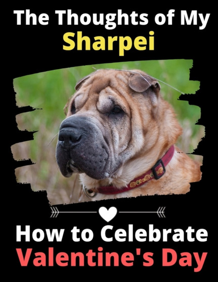 The Thoughts of My Sharpei : How to Celebrate Valentine's Day by Brightview Activity Books - Paperback