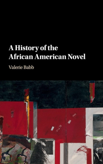A History of the African American Novel by Valerie Babb - Hardback
