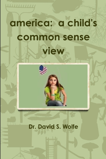 America: A Child's Common Sense View by David Wolfe - Paperback