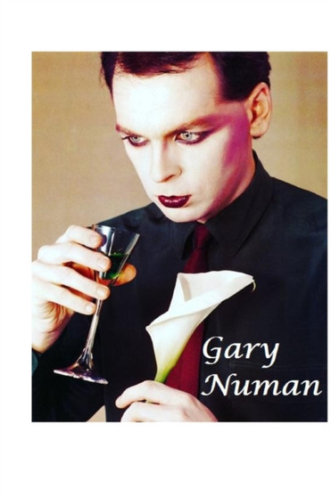 Gary Numan : The Untold Story by Harry Harrison - Paperback