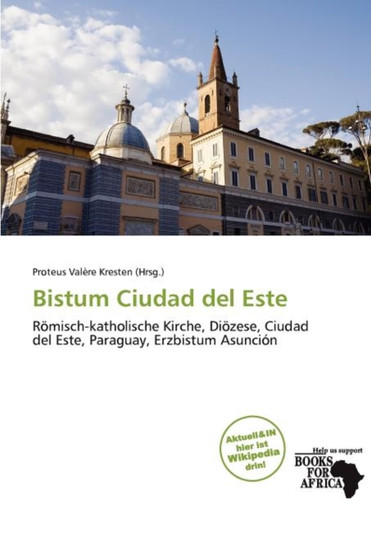 Bistum Ciudad del Este