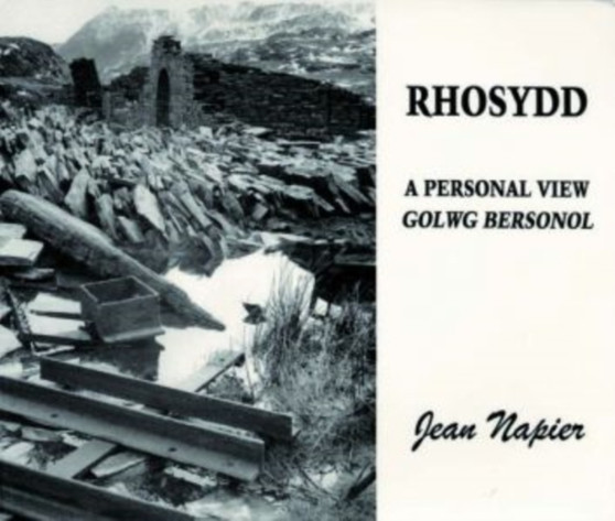 Rhosydd : A Personal View = Golwg Bersonol