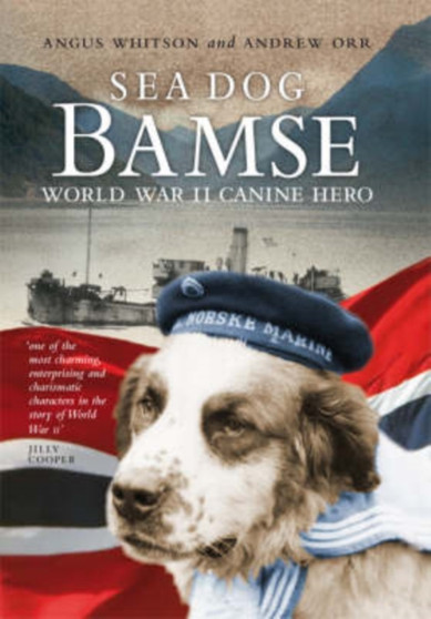 Sea Dog Bamse