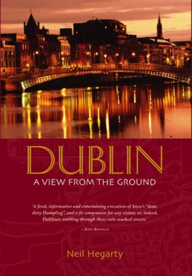 Dublin : A View from the Ground
