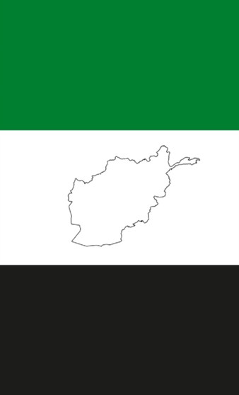 Afghanistan : What Went Wrong?
