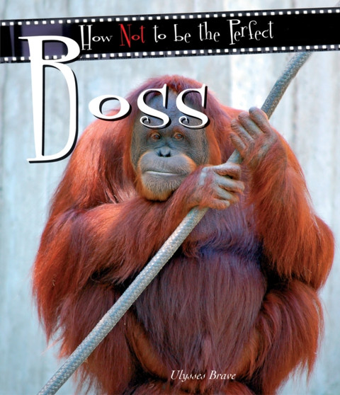 How Not To Be The Perfect Boss by Ulysses Brave - Hardback