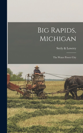 Big Rapids, Michigan : The Water Power City
