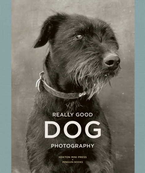 Really Good Dog Photography by Lucy Davies - Hardback