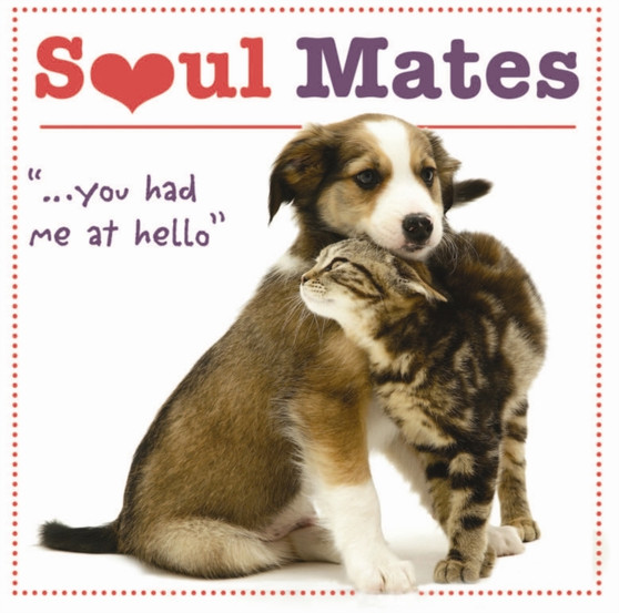 Soul Mates : '...you had me at hello' by Robin Haywood - Hardback