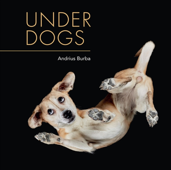 Under Dogs by Andrius Burba - Paperback