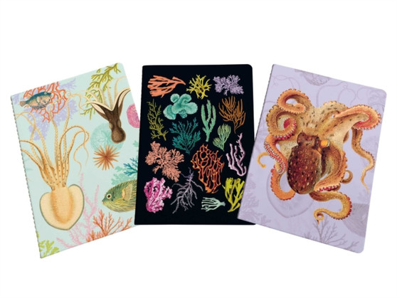 Art of Nature: Under the Sea Sewn Notebook Collection : Set of 3 by Insight Editions - Paperback