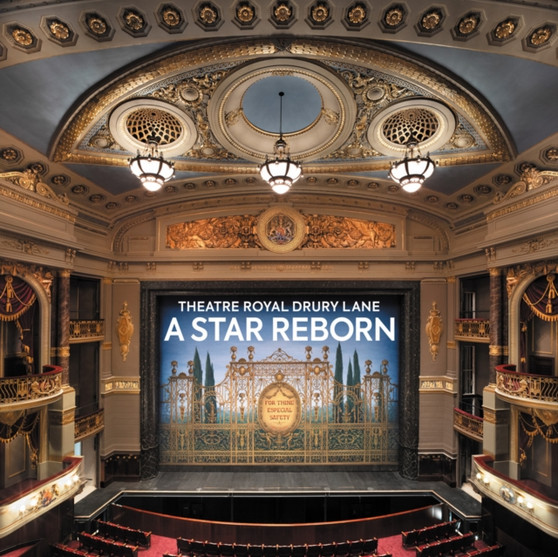 Theatre Royal Drury Lane : A Star Reborn by Pamela Hartshorne - Paperback