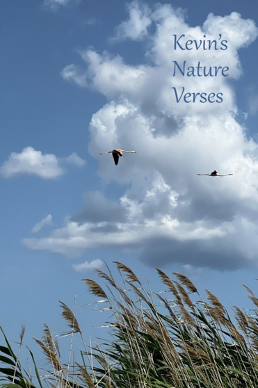 Kevin's Nature Verses by Kevin Ahern - Paperback