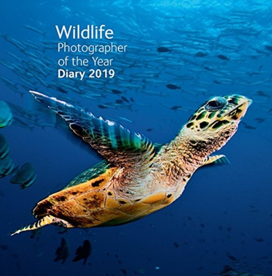 Wildlife Photographer of the Year Pocket Diary 2019 by Natural History Museum - Hardback