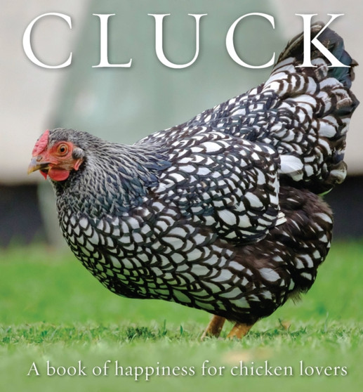 Cluck : A Book of Happiness for Chicken Lovers by Freya Haanen - Hardback