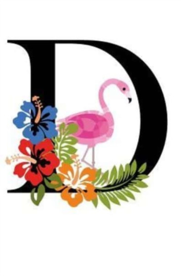 D by Molly Elodie Rose - Paperback