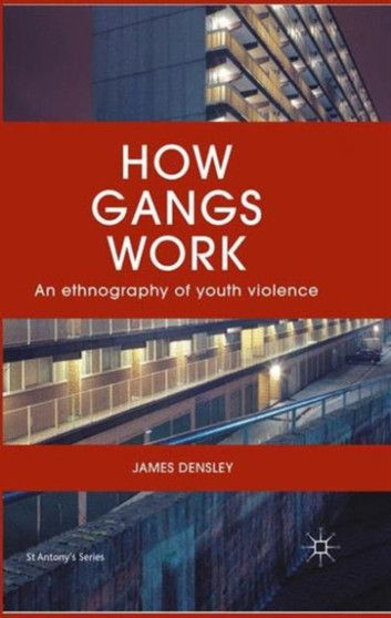 How Gangs Work : An Ethnography of Youth Violence