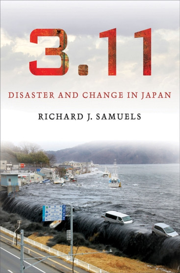 3.11 : Disaster and Change in Japan