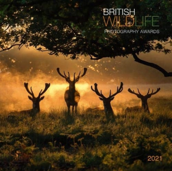 British Wildlife 2021 Calendar : British Wildlife Photography Awards 2021 Calendar by Mixed Mixed - Paperback