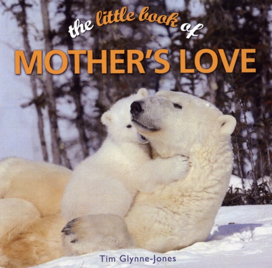 The Little Book of Mother's Love by Raymond Glynne - Hardback