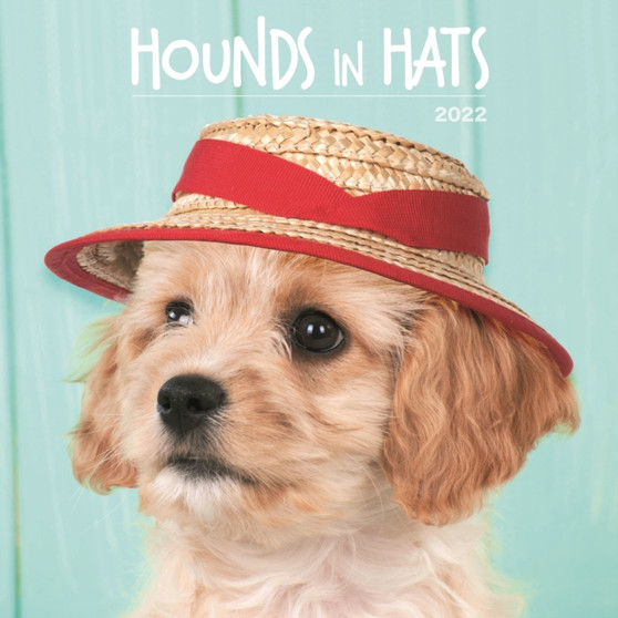 Hounds in Hats 2022 Calendar by Mixed - Paperback