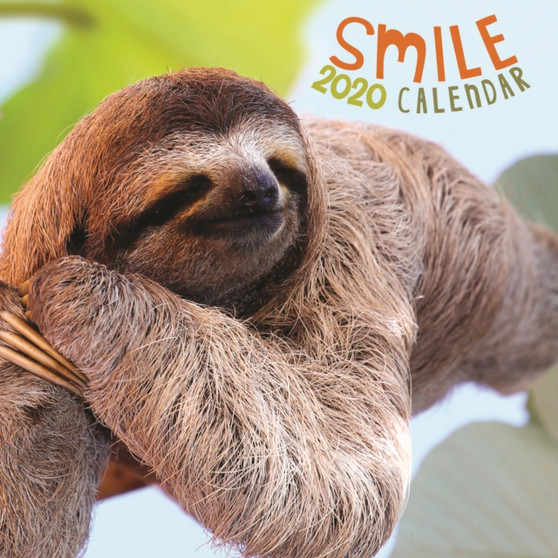 Smile 2020 Calendar by Mixed - Paperback