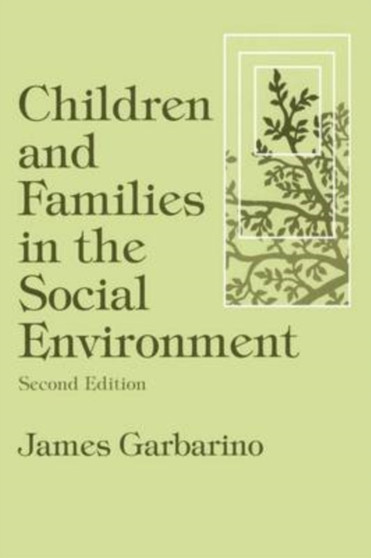 Children and Families in the Social Environment : Modern Applications of Social Work