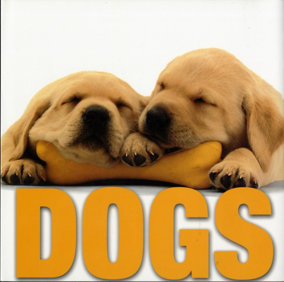 Dogs by Valeria.M De Fabianis - Hardback