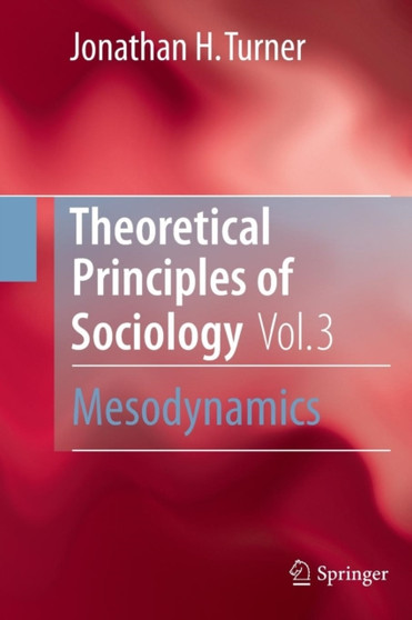 Theoretical Principles of Sociology, Volume 3 : Mesodynamics