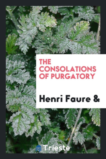The Consolations of Purgatory by Henri Faure - Paperback
