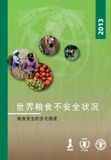 The State of Food Insecurity in the World 2013 (Chinese) : The Multiple Dimensions of Food Security