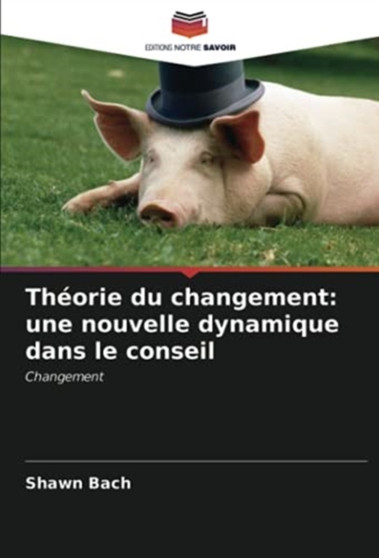 Theorie du changement : une nouvelle dynamique dans le conseil