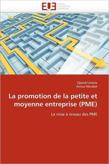 La Promotion de la Petite Et Moyenne Entreprise (Pme)
