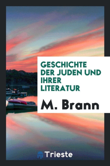 Geschichte Der Juden Und Ihrer Literatur by M Brann - Paperback