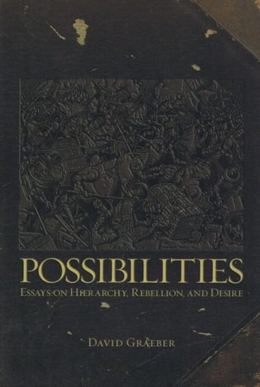 Possibilities : Essays on Hierarchy, Rebellion and Desire