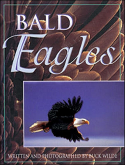 Bald Eagles