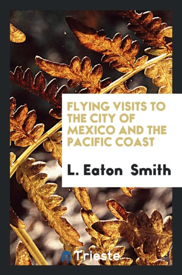 Flying Visits to the City of Mexico and the Pacific Coast by L Eaton Smith - Paperback