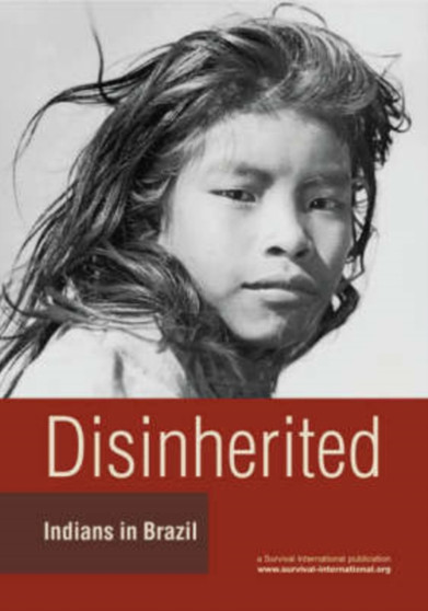 Disinherited : Indians in Brazil