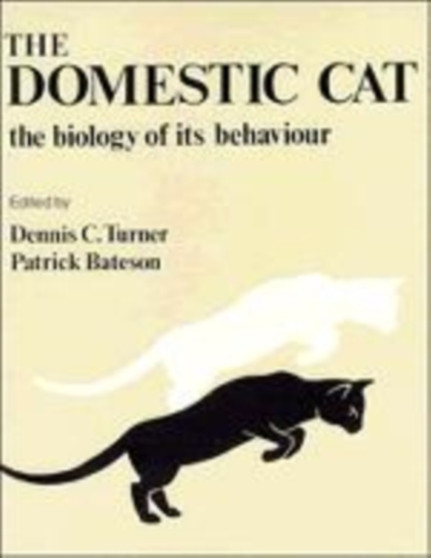 Domestic Cat