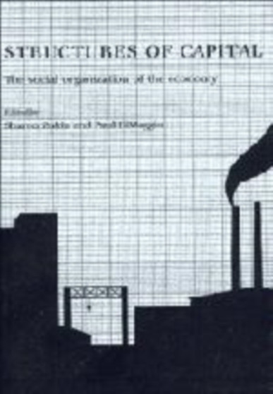 Structures of Capital : The Social Organization of the Economy