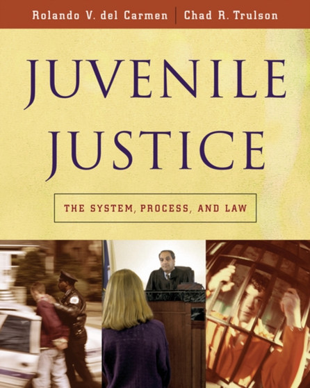 Juvenile Justice : The System, Process and Law