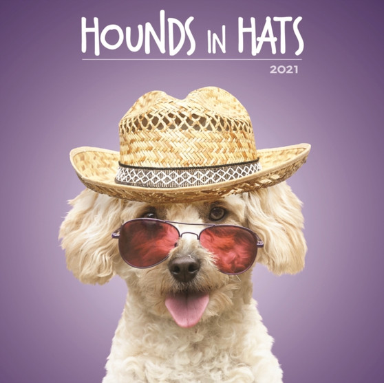 Hounds in Hats 2021 Calendar by Mixed Mixed - Paperback