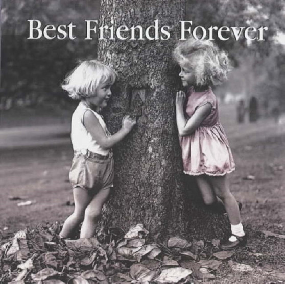 Best Friends Forever by Hulton Getty - Hardback