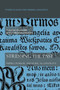 Stressing the past : Papers on Baltic and Slavic accentology : 35