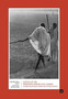Apostle of the Twentieth Century-M.K. Gandhi by Kinnari Bhatt - Hardback